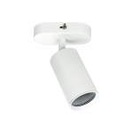 Світильник  настінно-стельовий JOKER-1, купити, замовити, ціна, фото, картинка, інтернет-магазин, Україна